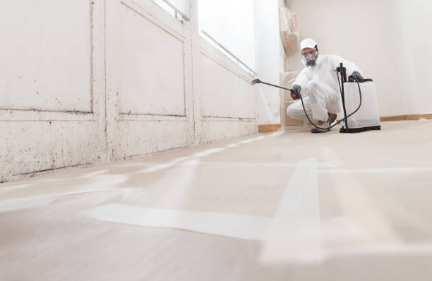 24/7 Emergency Mold Remediation experts in Petersburg, PA